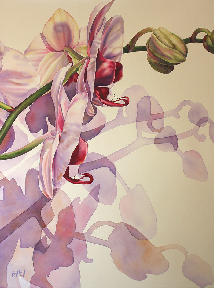 Spray of Orchids by Pat Hall | Lethbridge Gallery
